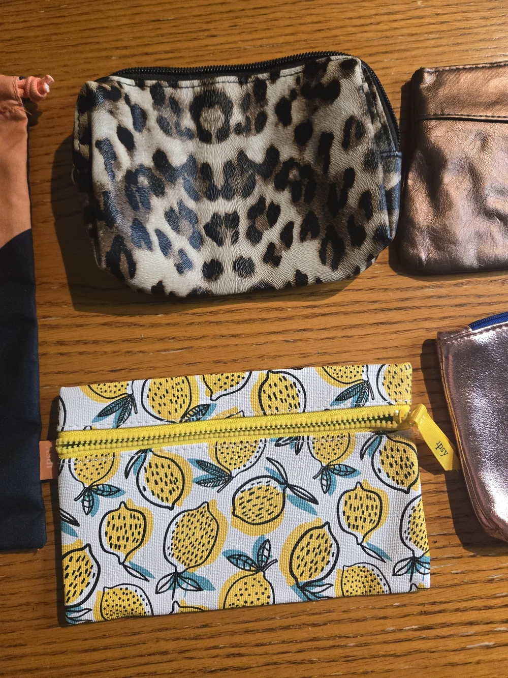 Set of 5 Makeup Cosmetic Bags & Accessory Pouches
